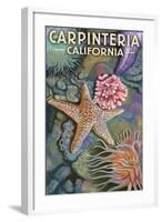 Carpinteria, California - Tidepool-Lantern Press-Framed Art Print