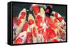 Carps Crowd-RazvanPhotography-Framed Stretched Canvas