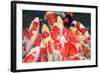 Carps Crowd-RazvanPhotography-Framed Photographic Print