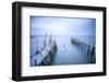 Carrasqueira, Alcacer do Sal, Setubal, Portugal. Typical wooden pillar piers.-Marco Bottigelli-Framed Photographic Print