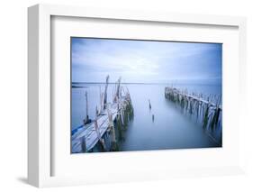 Carrasqueira, Alcacer do Sal, Setubal, Portugal. Typical wooden pillar piers.-Marco Bottigelli-Framed Photographic Print