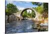 Carrbridge, oldest stone bridge in the Highlands, Scotland-Patrick Frischknecht-Stretched Canvas