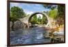 Carrbridge, oldest stone bridge in the Highlands, Scotland-Patrick Frischknecht-Framed Photographic Print