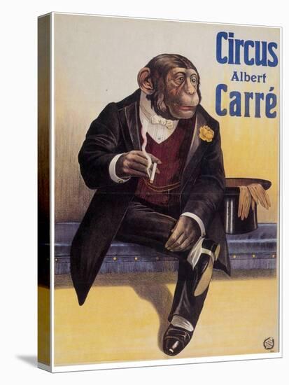 Carre Circus Chimp-Vintage Apple Collection-Stretched Canvas