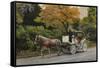 Carriage at Central Park-John Zaccheo-Framed Stretched Canvas