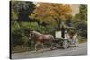 Carriage at Central Park-John Zaccheo-Stretched Canvas