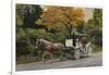 Carriage at Central Park-John Zaccheo-Framed Giclee Print