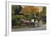 Carriage at Central Park-John Zaccheo-Framed Giclee Print