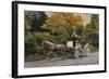 Carriage at Central Park-John Zaccheo-Framed Giclee Print