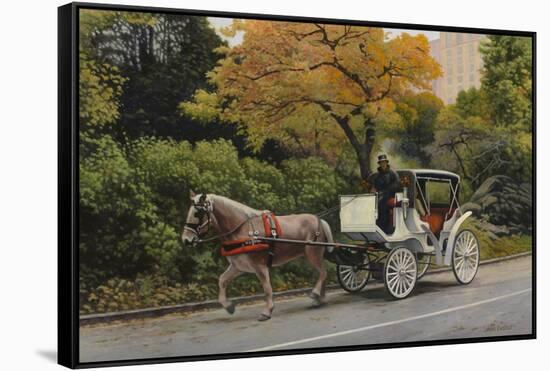 Carriage at Central Park-John Zaccheo-Framed Stretched Canvas