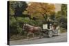 Carriage at Central Park-John Zaccheo-Stretched Canvas