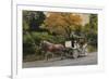 Carriage at Central Park-John Zaccheo-Framed Giclee Print