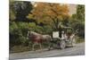 Carriage at Central Park-John Zaccheo-Mounted Giclee Print