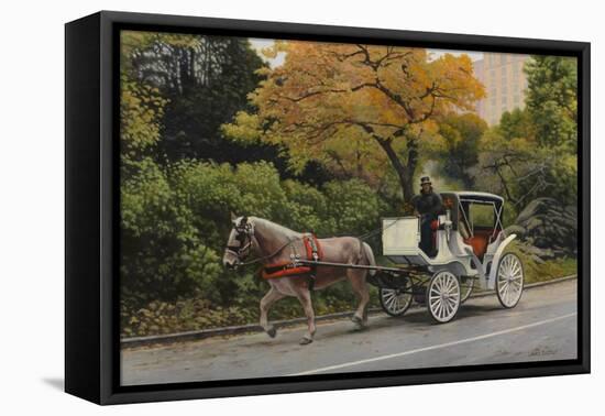 Carriage at Central Park-John Zaccheo-Framed Stretched Canvas