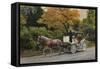 Carriage at Central Park-John Zaccheo-Framed Stretched Canvas