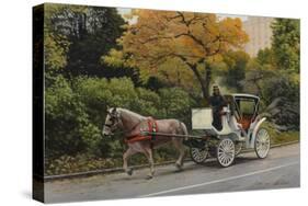 Carriage at Central Park-John Zaccheo-Stretched Canvas