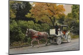 Carriage at Central Park-John Zaccheo-Mounted Giclee Print