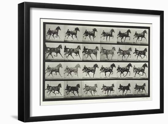 Carriage Driving, Plate 613 from 'Animal Locomotion', 1887-Eadweard Muybridge-Framed Giclee Print