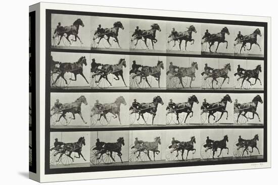 Carriage Driving, Plate 613 from 'Animal Locomotion', 1887-Eadweard Muybridge-Stretched Canvas