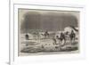 Carriage of the Indian Mail on the Desert of Suez-null-Framed Giclee Print