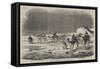 Carriage of the Indian Mail on the Desert of Suez-null-Framed Stretched Canvas