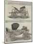 Carriages for the Princess Royal of Wurtemberg-null-Mounted Giclee Print