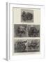 Carriages of the Future, Types of the Horseless Vehicles-null-Framed Giclee Print