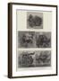 Carriages of the Future, Types of the Horseless Vehicles-null-Framed Giclee Print