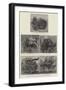 Carriages of the Future, Types of the Horseless Vehicles-null-Framed Giclee Print