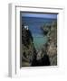 Carrick-A-Rede Rope Bridge, County Antrim, Northern Ireland, United Kingdom-Roy Rainford-Framed Photographic Print