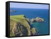 Carrick-A-Rede Rope Bridge to Carrick Island, Larrybane Bay, County Antrim, Northern Ireland-Neale Clarke-Framed Stretched Canvas