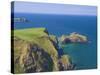 Carrick-A-Rede Rope Bridge to Carrick Island, Larrybane Bay, County Antrim, Northern Ireland-Neale Clarke-Stretched Canvas
