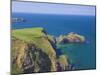 Carrick-A-Rede Rope Bridge to Carrick Island, Larrybane Bay, County Antrim, Northern Ireland-Neale Clarke-Mounted Photographic Print