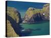 Carrick-A-Rede Rope Bridge to Carrick Island, Larrybane Bay, County Antrim, Ulster-Neale Clarke-Stretched Canvas