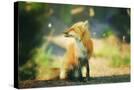 Stretched Canvas