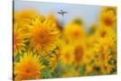 Stretched Canvas
