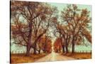 Stretched Canvas