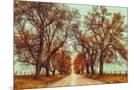 Wood Mount