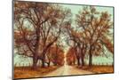 Wood Mount
