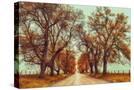 Stretched Canvas