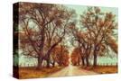 Stretched Canvas