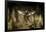 Carrion Beetle (Nicrophorus Carolinensis) In Flight With Parasitic Mites Living On Exoskeleton-Michael Durham-Framed Premium Photographic Print