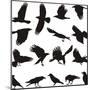 Carrion Crow-Gepard-Mounted Art Print