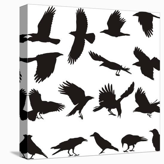 Carrion Crow-Gepard-Stretched Canvas