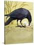 Carrion Crow-null-Stretched Canvas