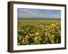 Carrizo I-Mark Geistweite-Framed Photographic Print