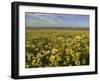 Carrizo I-Mark Geistweite-Framed Photographic Print