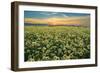 Carrizo II-Mark Geistweite-Framed Premium Photographic Print