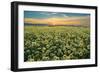 Carrizo II-Mark Geistweite-Framed Premium Photographic Print