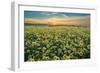 Carrizo II-Mark Geistweite-Framed Premium Photographic Print